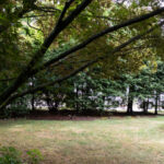 House for Sale Andover MA